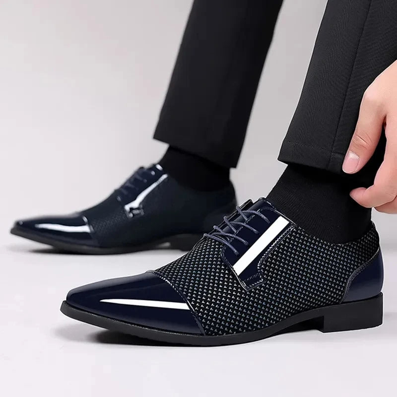 Cavallo Patterned Knit Oxford