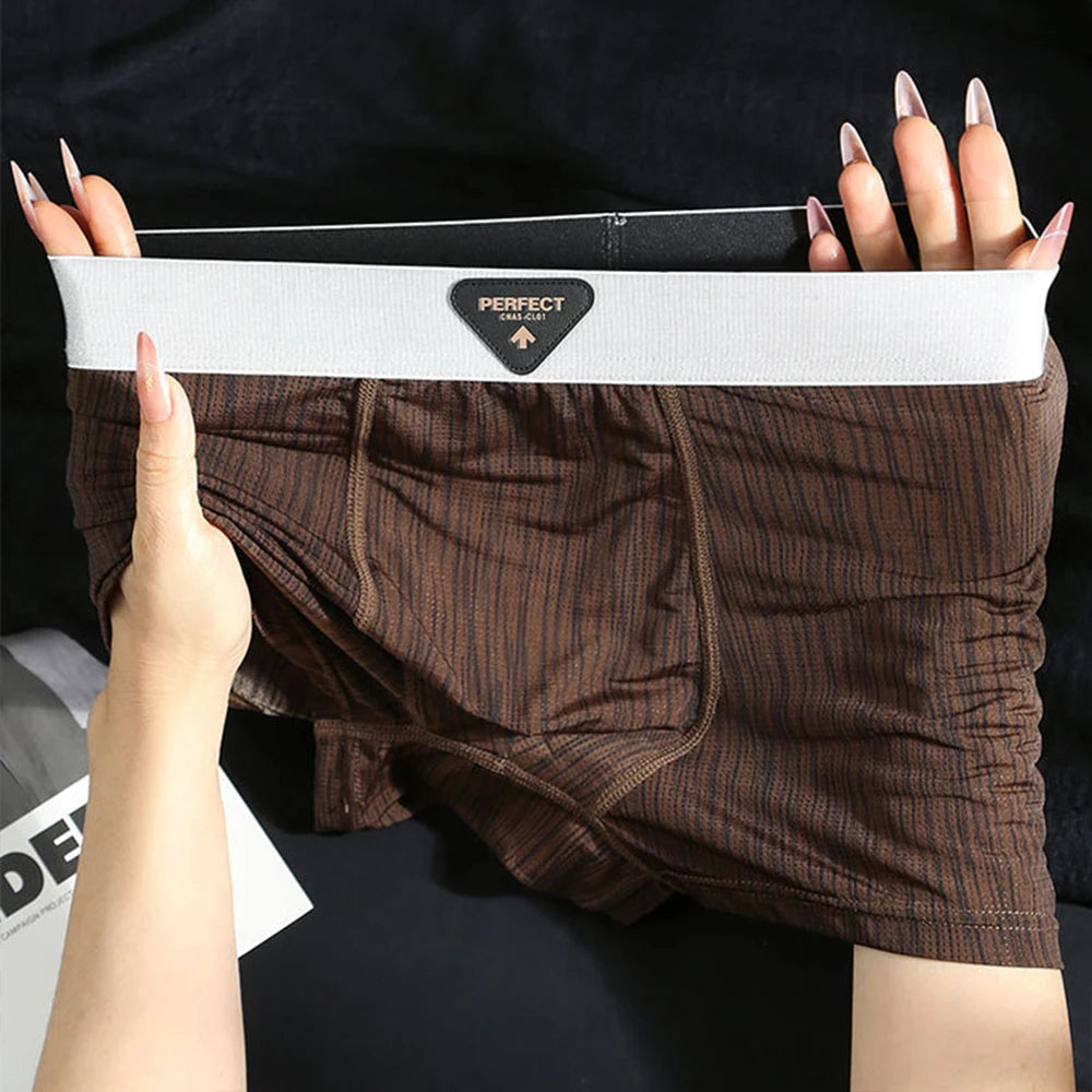 Carbon Boxer Brief Set