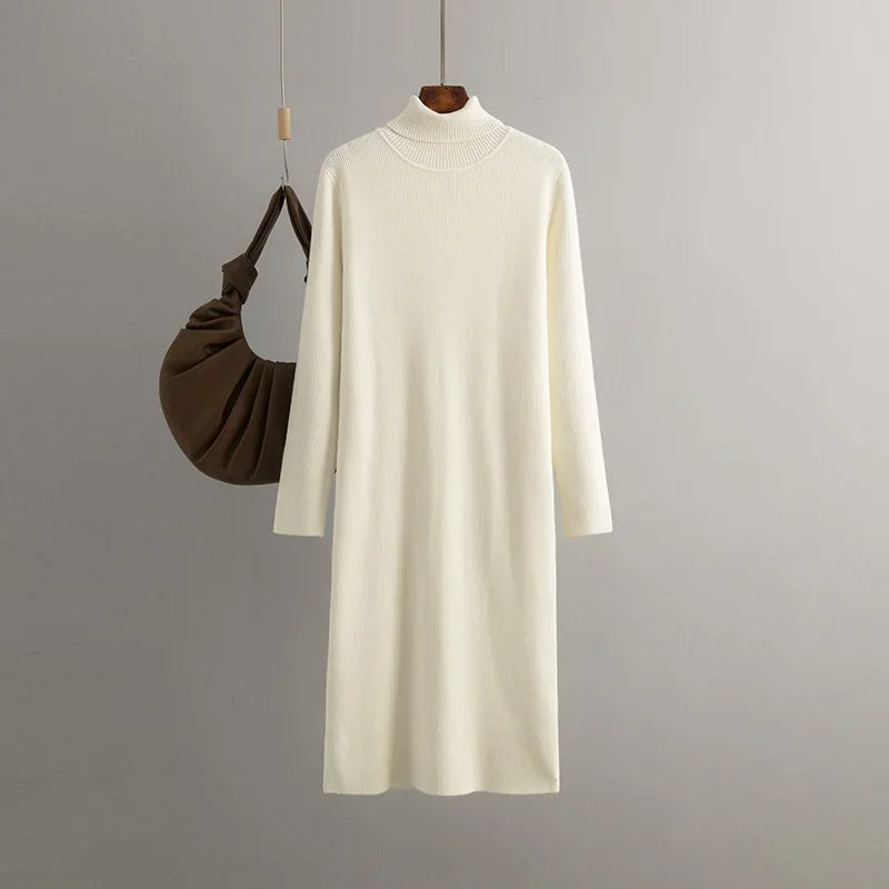 Alina Turtleneck Dress