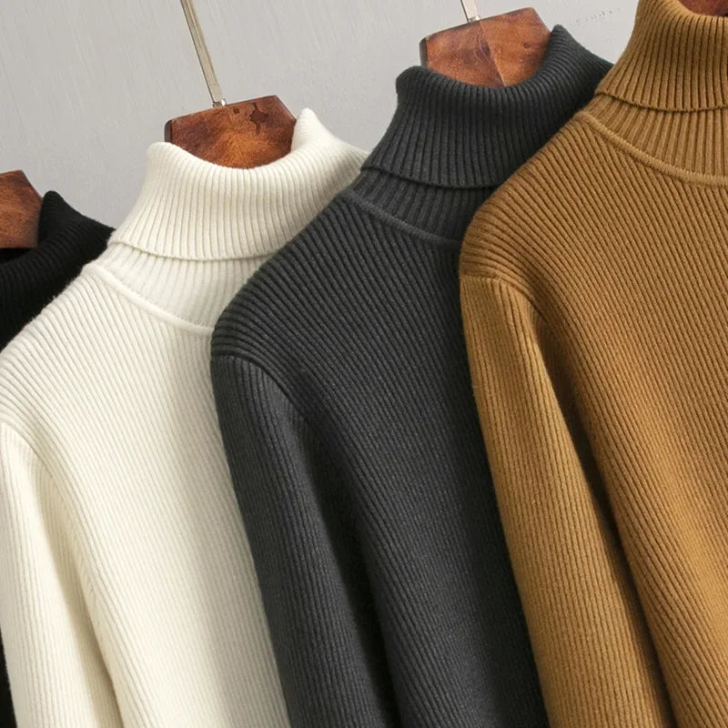 Alina Turtleneck Dress