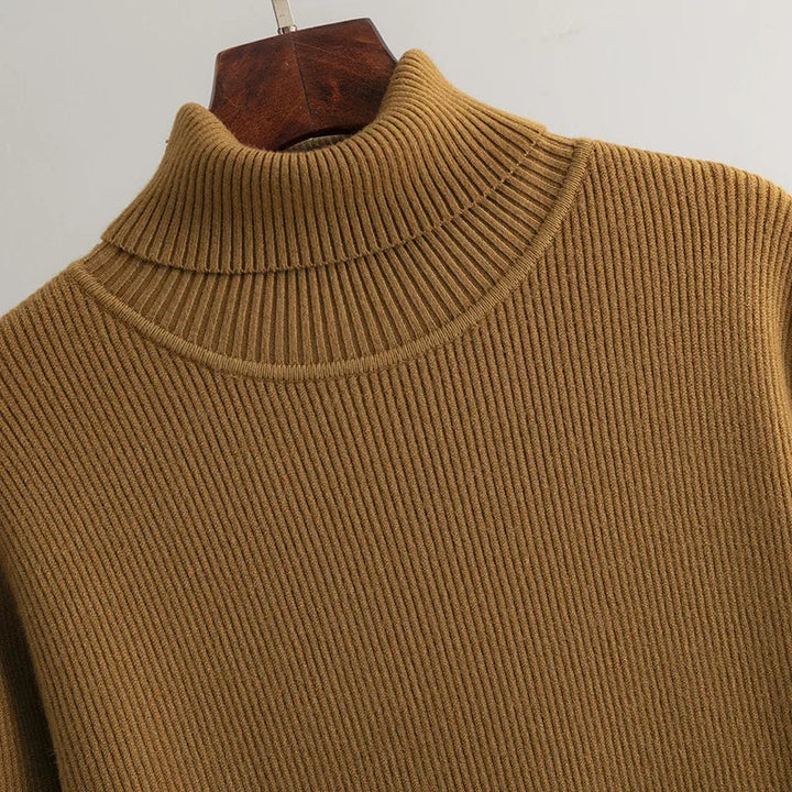 Alina Turtleneck Dress