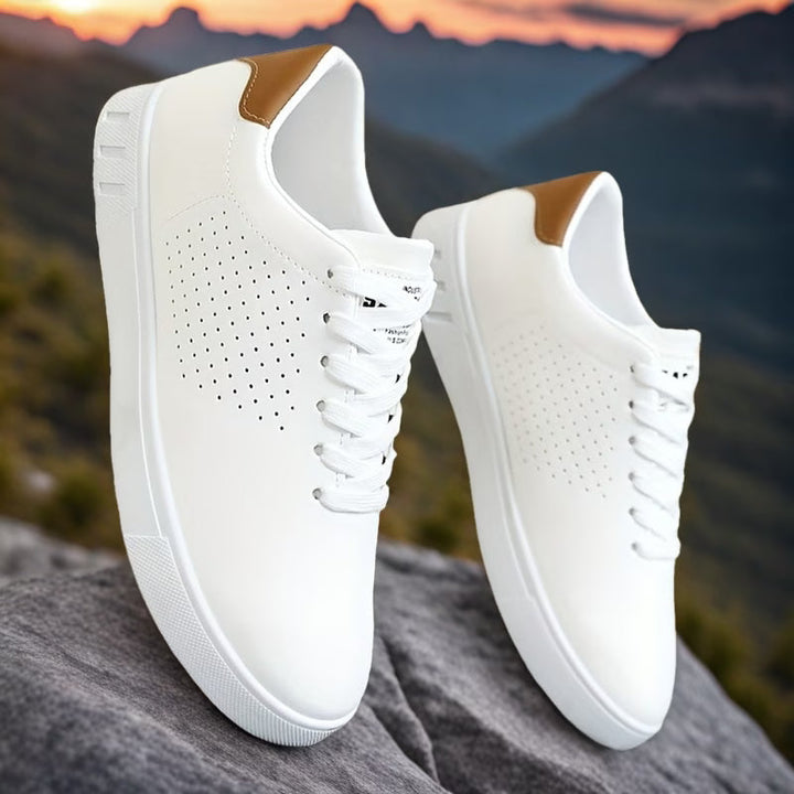 Aeron Low-Top Sneaker
