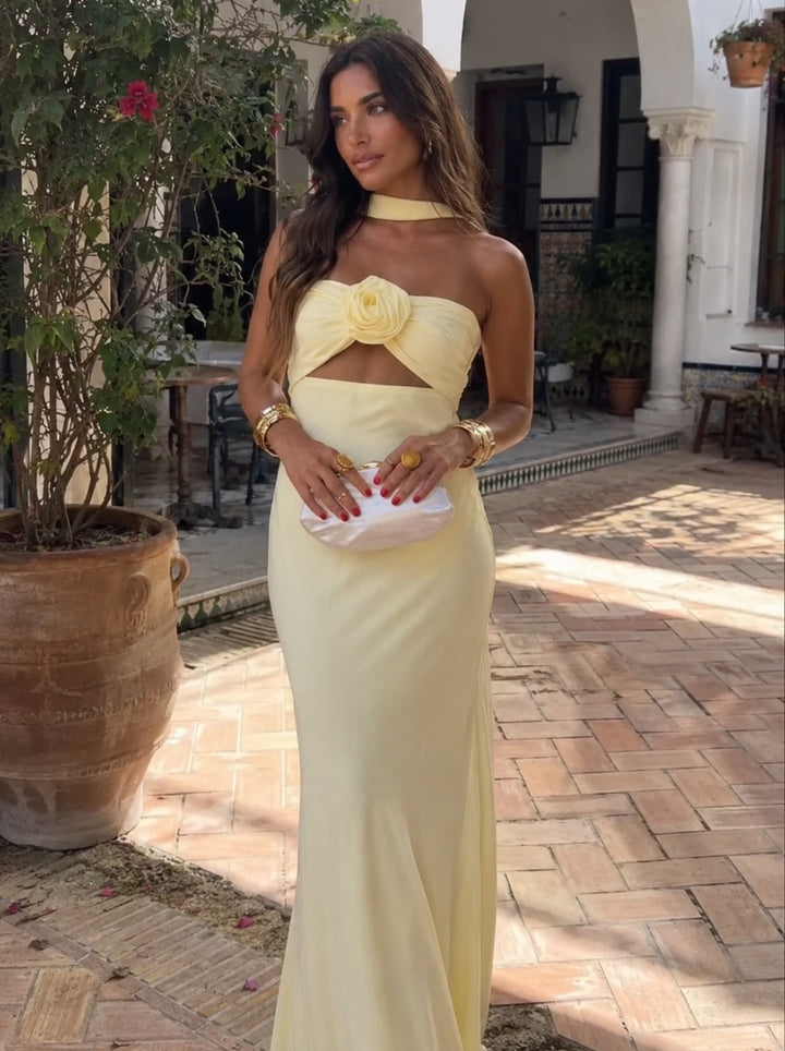 Floral Appliqué Maxi Halter Dress