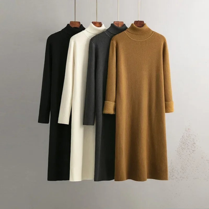 Alina Turtleneck Dress
