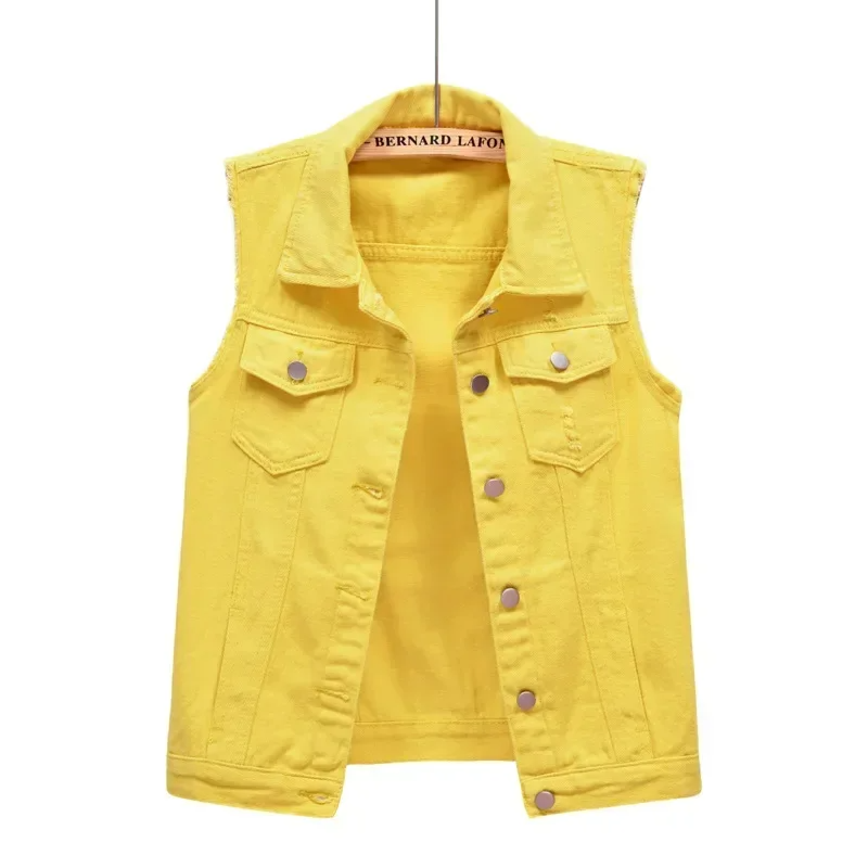 Maison Denim Vest