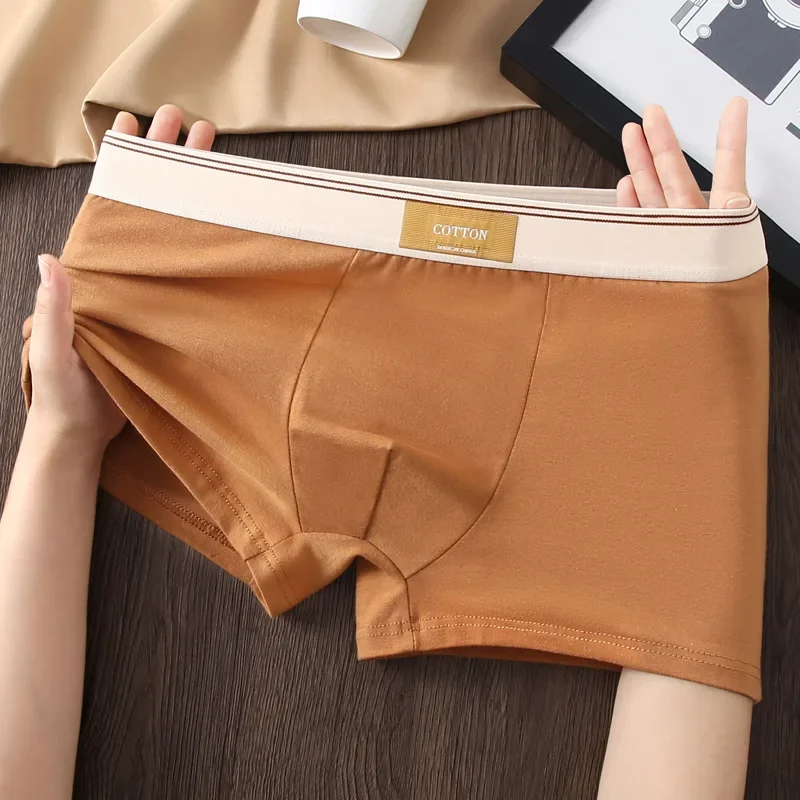 Cotton Theory Boxer Brief Set