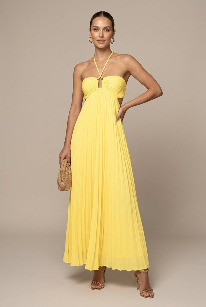 Women's Pleated Halter Neck Flowy Maxi Dress - Open Back